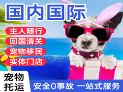 鄂尔多斯伊金霍洛国际宠物托运 【国